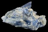 Vibrant Blue Kyanite Crystals In Quartz - Brazil #118864-1